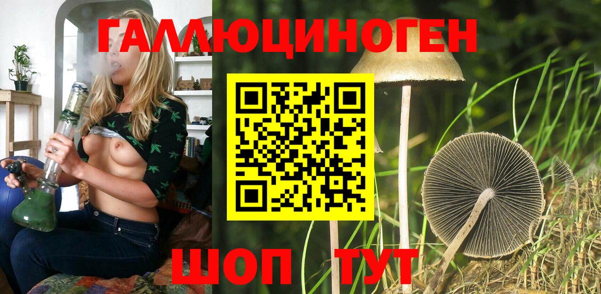 Галлюциногенные грибы MAGIC MUSHROOMS  Галлюциногенные грибы прущие грибы  Евпатория  где купить наркоту  Вход с VPN 